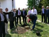 Uroczystość posadzenia Drzewa Katyńskiego - Urząd Gminy Czerwińsk nad Wisłą, 