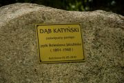 Dąb Katyński, 